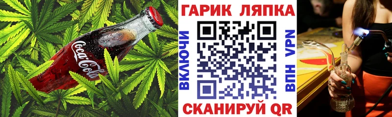 площадка формула Переславль-Залесский Canna-Cookies марихуана