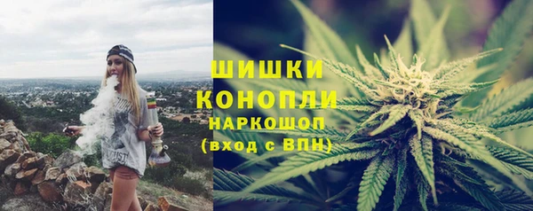 гидра Новокубанск