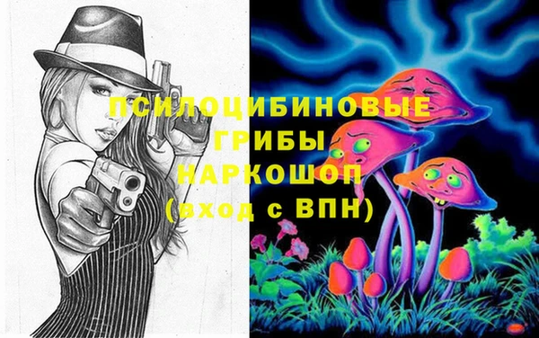 mdpv Новодвинск