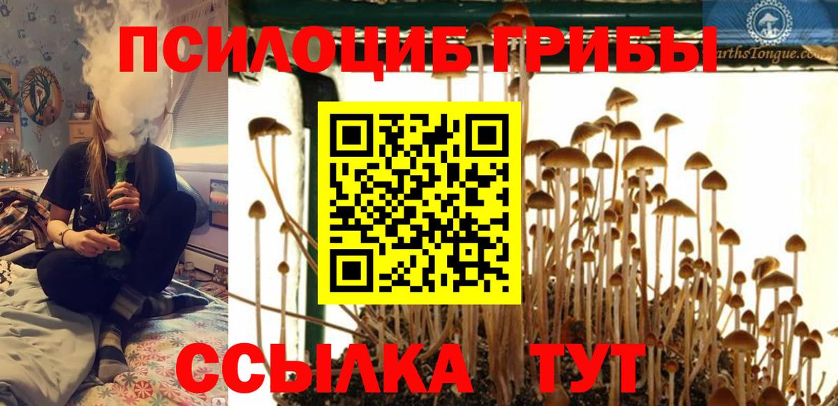 Галлюциногенные грибы Cubensis  продажа наркотиков  Переславль-Залесский 