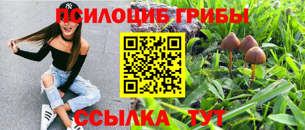 Галлюциногенные грибы MAGIC MUSHROOMS Переславль-Залесский