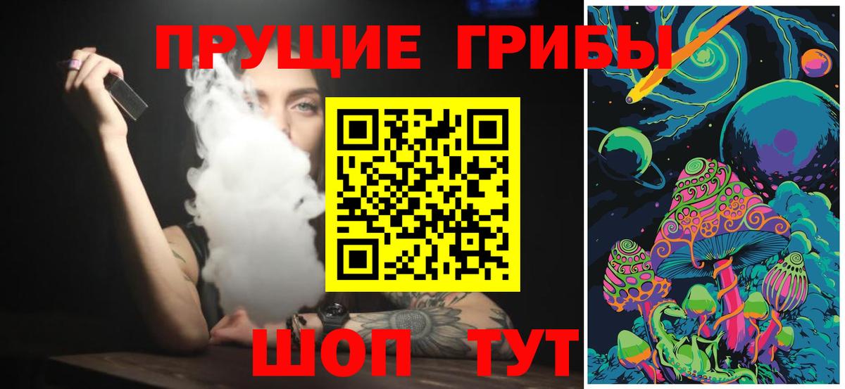 Переславль-Залесский  Галлюциногенные грибы Cubensis  Вход с VPN 